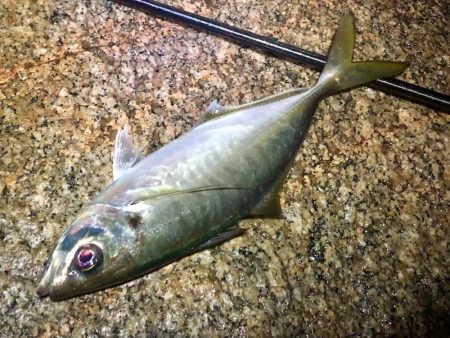 サタデーナイトフィーバー!!