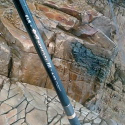 今期初参戦、平島にてヒラス狙い。