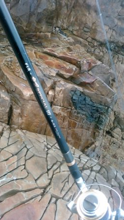 今期初参戦、平島にてヒラス狙い。