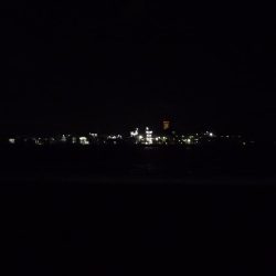 キビナゴ15匹で1ダース