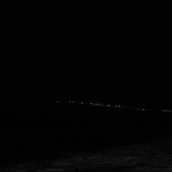 やっぱりガシラよりアジ！