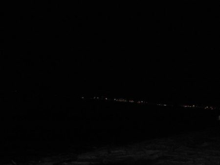 やっぱりガシラよりアジ！