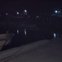 ヒイカリベンジ