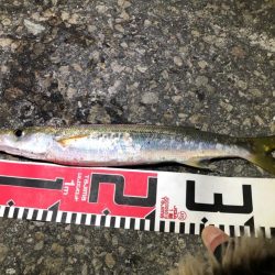 メッキうじゃうじゃ