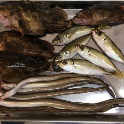 倉庫前でヒイカ