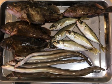 倉庫前でヒイカ