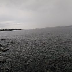 アオリイカ2杯あがりました!!