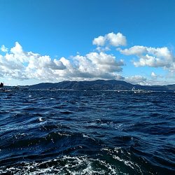 太刀魚絶好調です!!