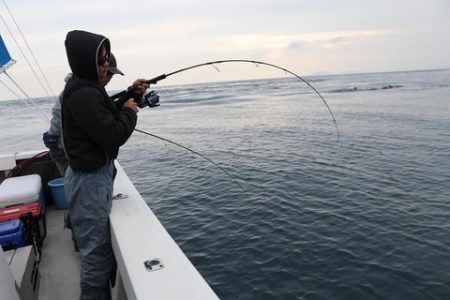 スカイマリン 釣果