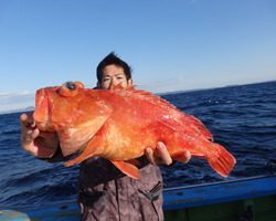 久里浜黒川本家 釣果