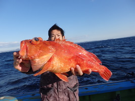 久里浜黒川本家 釣果