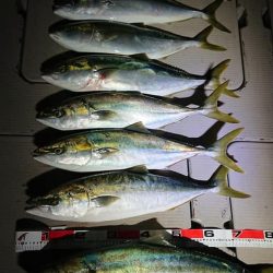 スカイマリン 釣果