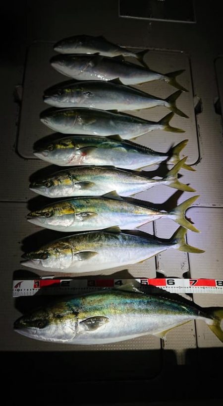 スカイマリン 釣果