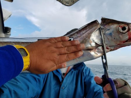遊漁船　ニライカナイ 釣果