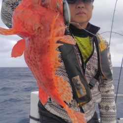 遊漁船 新鋭丸 釣果