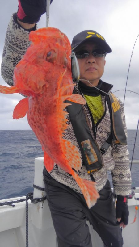 遊漁船 新鋭丸 釣果