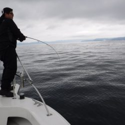 BlueNote Fishing Taxi 釣果