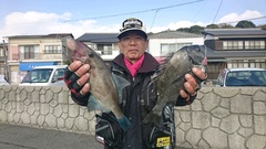 まこと渡船 釣果