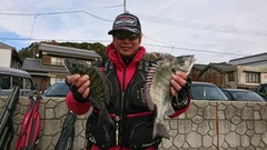 まこと渡船 釣果