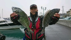 まこと渡船 釣果