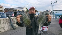 まこと渡船 釣果