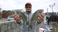 まこと渡船 釣果