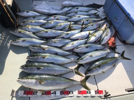ふじしめ丸 釣果
