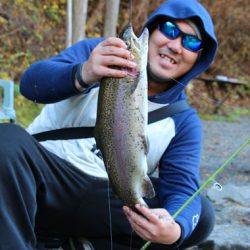 小菅トラウトガーデン 釣果