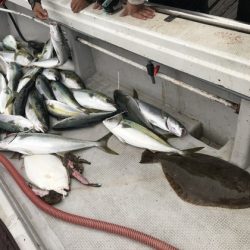 寿裕 （YOSHIHIRO） 釣果