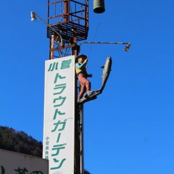 小菅トラウトガーデン 釣果