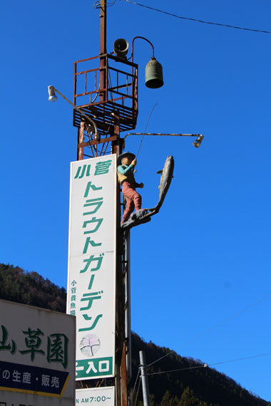 小菅トラウトガーデン 釣果