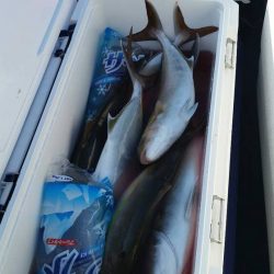 第五慶門丸 釣果