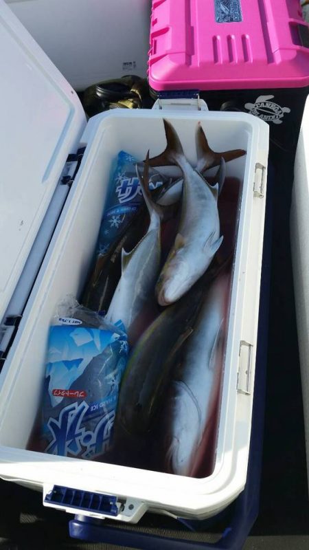 第五慶門丸 釣果