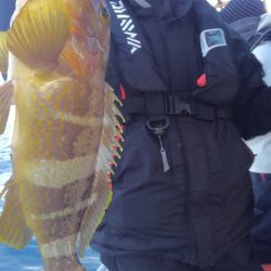 遊漁船 新鋭丸 釣果