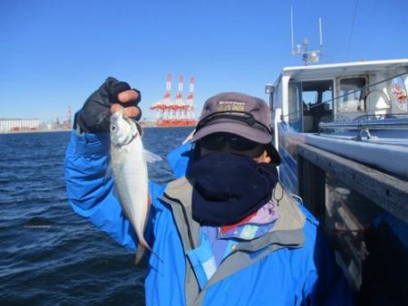 あい川丸 釣果