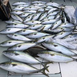 ふじしめ丸 釣果