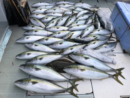 ふじしめ丸 釣果