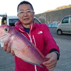 大進丸(新潟) 釣果