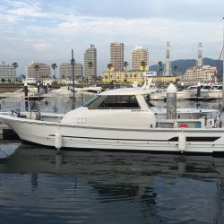 フィッシングボートACE(エース) 釣果