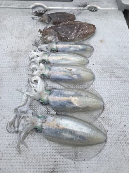 BlueOcean（ブルーオーシャン） 釣果