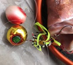 白墨丸 釣果