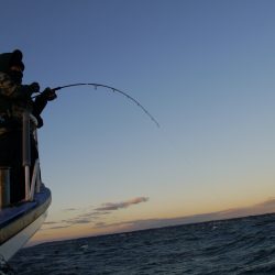 松鶴丸 釣果
