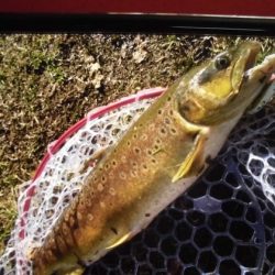 高萩ふれあいの里フィッシングエリア 釣果