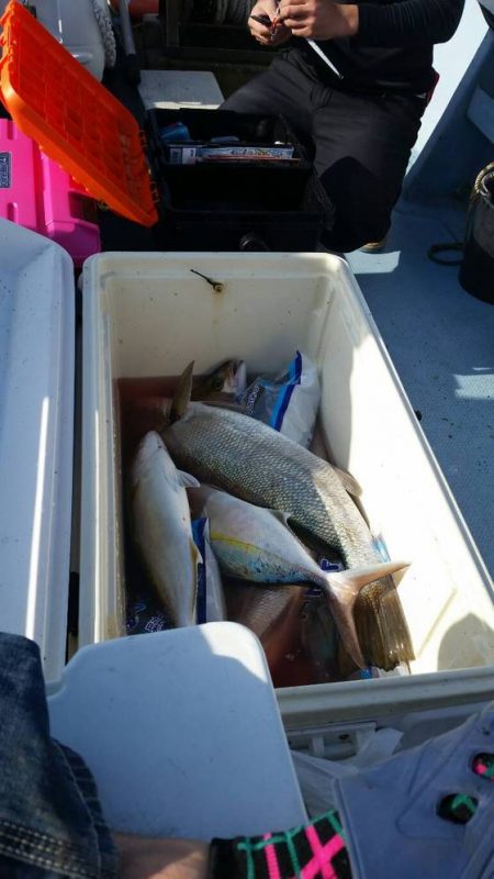 第五慶門丸 釣果