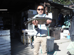 すそのフィッシングパーク 釣果