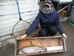 すそのフィッシングパーク 釣果