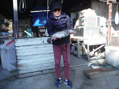 すそのフィッシングパーク 釣果