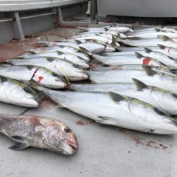 寿裕 （YOSHIHIRO） 釣果