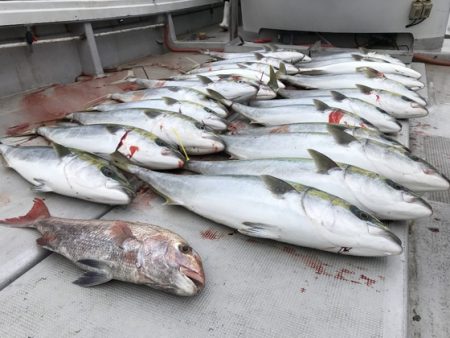 寿裕 （YOSHIHIRO） 釣果