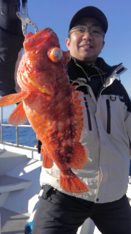 遊漁船 新鋭丸 釣果